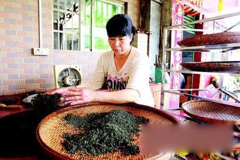 Return home to grow tea, high income, family worries