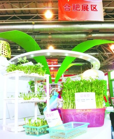 The mysterious veil of the Hefei exhibition area of the Agricultural Fair was unveiled yesterday.