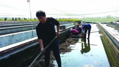 Leech breeding to realize the dream of enriching the people of college student village officials