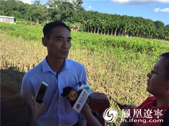 Qiongzhong, Hainan: farmers grow mulberry, sericulture and weave to get rich