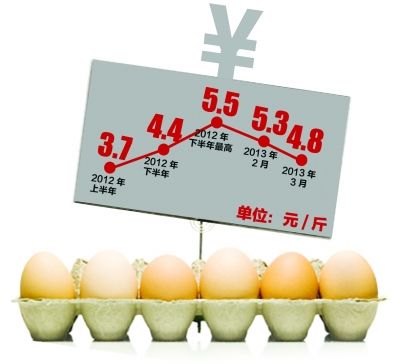 Farmers say the price of eggs has fallen at a loss or rebounded in the second half of the year.