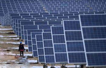 It is easy to start a business by raising hairy crabs under the photovoltaic board without occupying farmland.