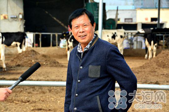 Li Qiheng in Tanghe: returning to his hometown to raise cattle and get rich skillfully, straw recycling becomes treasure.