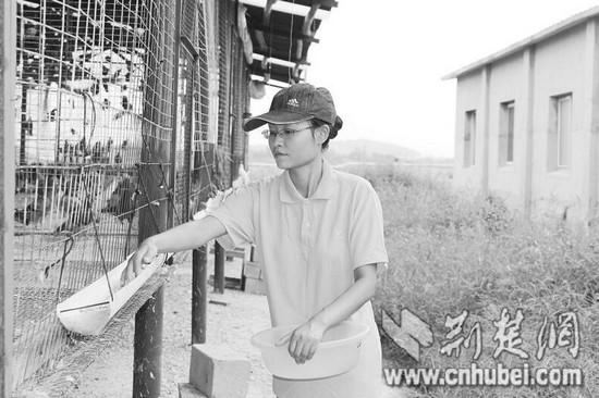 Deaf female college students in Hubei can't find a job and go to the countryside to raise pigeons to start a business and become rich.