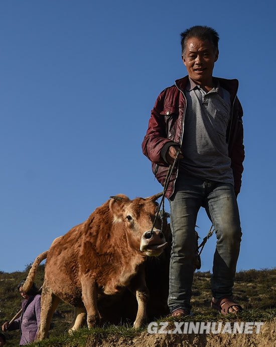 Guizhou farmer Zhang Xiangyin: click 