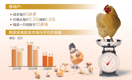 Guangdong Chicken Industry: sales of live chickens have shrunk by half, and prices have fallen to 1x3 of cost.