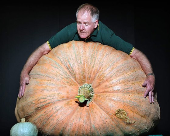 Giant vegetables you've never seen before.