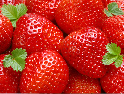 Strawberries can still blossom and bear fruit in winter