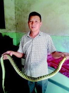 Jiangxia farmers get rich by raising snakes upstairs.