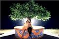 How to raise a Happiness Tree 4 steps to teach you to grow a luxuriant Happiness Tree