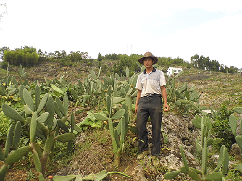 Pan Guanghua, the 