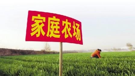 The annual income of family farmers is 3 million, and Hefei registers 988 