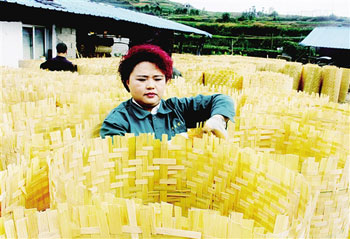 Junior high school girls weave bamboo mats and sell them to Europe and Japan.