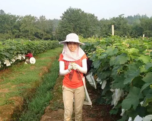 Female college students quit their jobs and go back to their hometown to plant grapes to express their youth and interpret life with struggle.