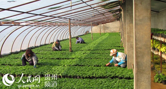 Yang Zhiyong: building an ideal Heaven based on the Treasure House of Natural Resources