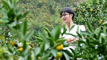 Returnees come back to plant oranges and have something to eat in mid-August.