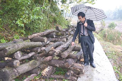 The garden is full of thick and delicious meat by drilling wood and planting mushrooms.