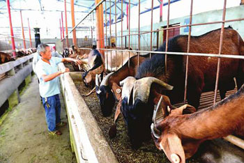 High mountains and narrow ditches in Nanchong can be used for circular planting and wealth