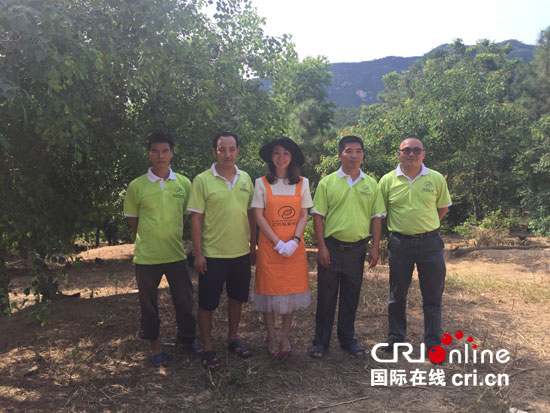 Returnee executives return to China to become farmers: poultry sales are hot in appearance.