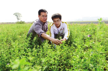 Freshmen grow alfalfa and give consideration to both entrepreneurial studies.