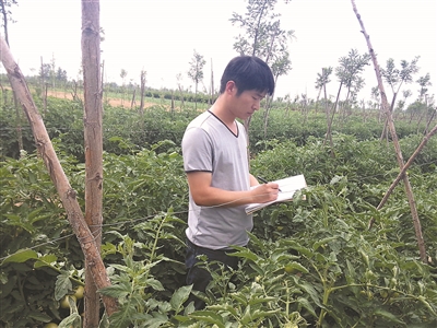 Tan Gaoyan, village official of Xianxian County, Hebei Province: a tomato enriches a village