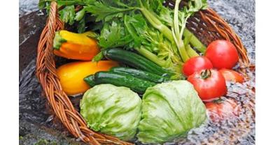 This rotation of vegetables leads to a bowl full of melons and fruits.