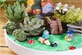 How to make succulent platter paving skills