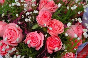 The sowing skills of roses how to preserve roses