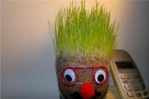 The planting method of grass head doll