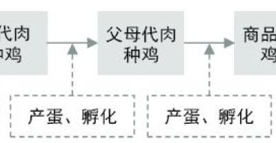 The scale of bamboo rat culture should be moderate.