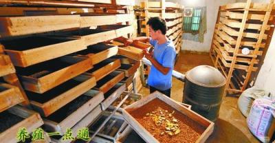 This is how the most common seafood is farmed. Photo documentary oyster culture on Fujian beaches