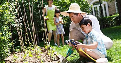 What vegetables do you have in autumn?