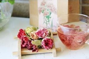 Are carnations poisonous? the efficacy of carnation scented tea