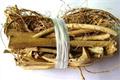 The medicinal value of milk root how to eat milk root