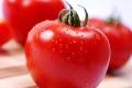 What are the benefits of eating tomatoes