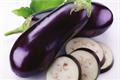 Can eggplant be eaten raw?