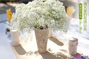 The flower language of Gypsophila paniculata and beautiful legends