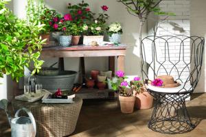 Methods and practical tips of potted vegetables grown on family balcony