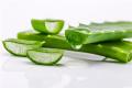 [efficacy of aloe] efficacy summary of aloe