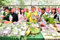 Promote Baishi Lake sightseeing Strawberry Garden Taipei Mayor Ke Wenzhe experience Agricultural Tour in North City