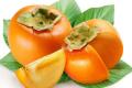 What are the effects and functions of persimmon leaves