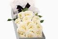 What is the flower language of the white rose?