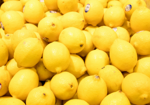 Do you make money by growing lemons in 2019? What are the planting prospects?