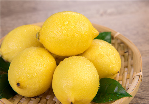 Analysis of planting Prospect and Market Price of Lemon in 2019