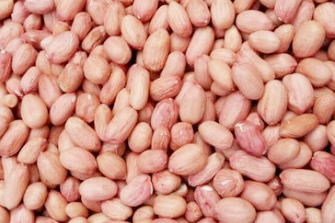 How much is the peanut seed per jin? What are the prospects and benefits of planting?