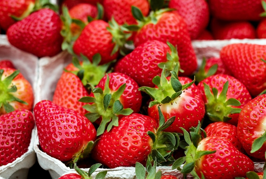 How do strawberries grow on your balcony? It only takes 4 easy steps!