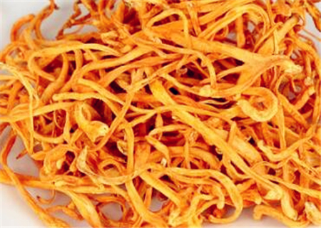 How much is the cost of Cordyceps sinensis now? How can I eat it well? Who can't eat? How to cultivate it?