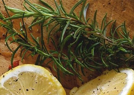 What are the planting methods of rosemary seeds in Labiatae? What are the effects and effects? How much is a bottle of essential oil?