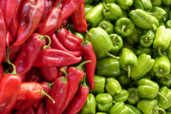 When was eggplant pepper introduced into China? Blossom sitting fruit long mite, what medicine does lobular disease hit? Planting effect of supplementary species