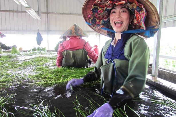 Agricultural foreign migrant workers are sure to open up! Agricultural migrant workers outreach, Indonesian youth farmers internship, dairy feeding three programs, hit the road in July